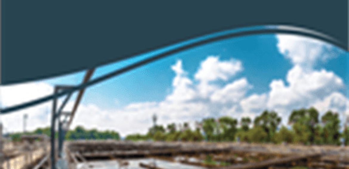 Technologies for the Treatment and Recovery of Nutrients from Industrial Wastewater