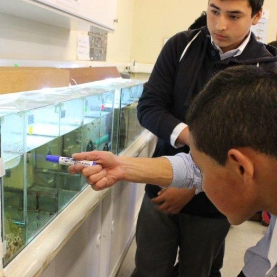Centros CRHIAM e INCAR muestran sus investigaciones a los estudiantes de la Provincia de Arauco