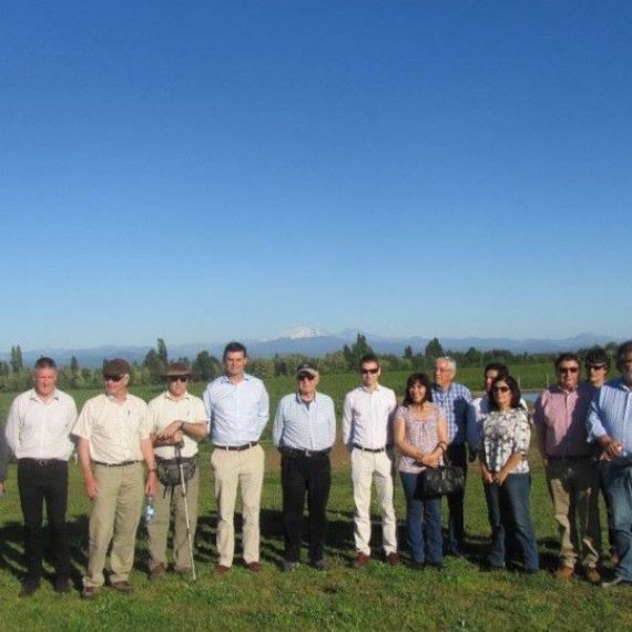 Comité Científico del CRHIAM visita CARSOL y viña Riveras Chillán