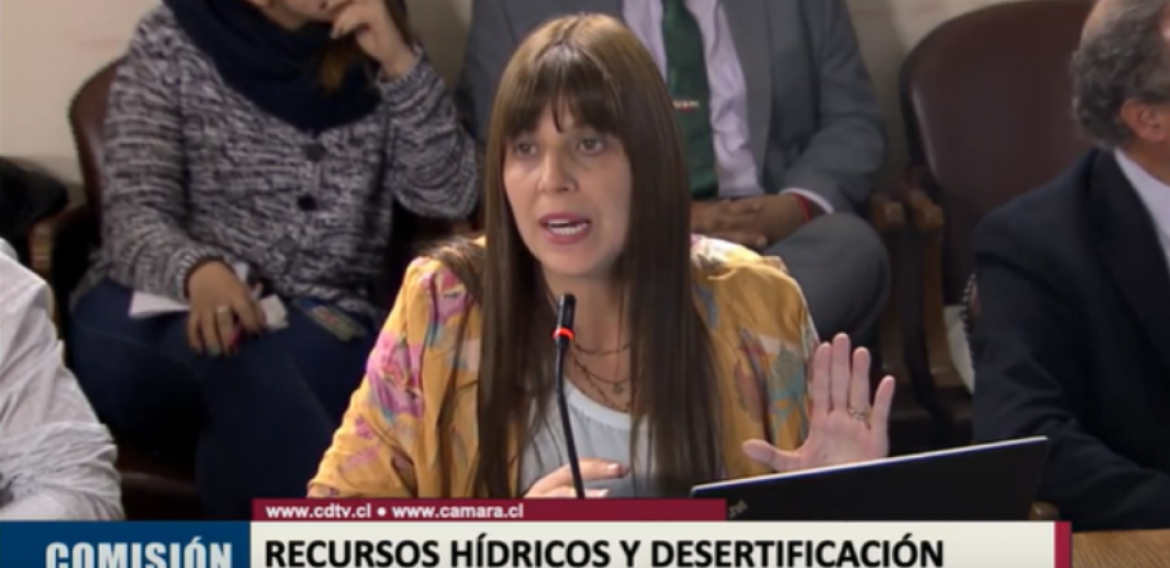 Investigadora asociada expuso ante la comisión de Recursos Hídricos y Desertificación de la Cámara de Diputados