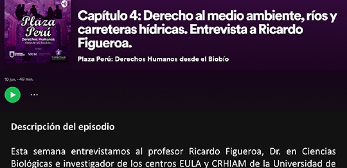 Entrevista a Ricardo Figueroa. Medio Ambiente, ríos y carreteras hídricas.