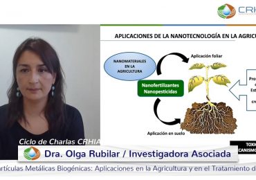 Nanopartículas metálicas biogénicas fue el tema del Ciclo de Charlas CRHIAM de noviembre
