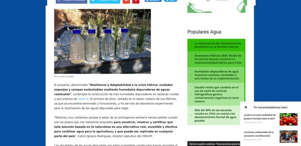 Humedales depuradores de agua muestran exitosos resultados a seis meses de su implementación