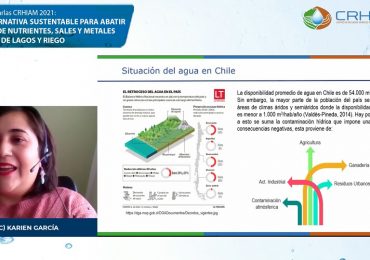 Ciclo de Charlas CRHIAM concluyó con presentación sobre uso de arcillas para combatir el exceso de nutrientes en cuerpos de agua