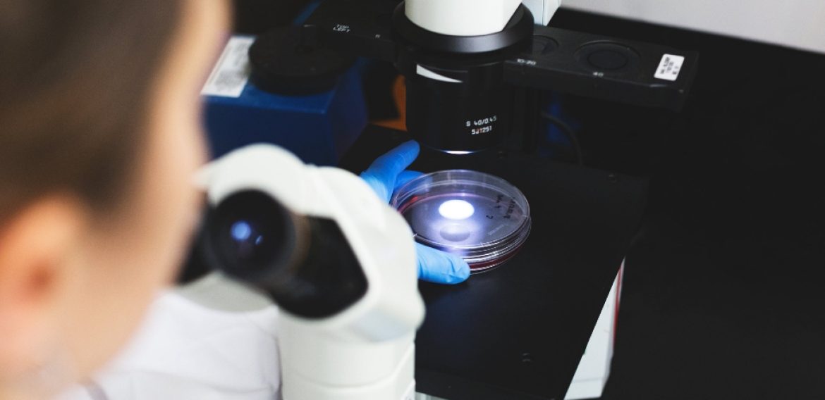 Las ciencias de la política