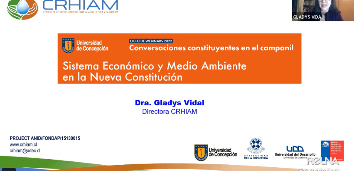 Directora CRHIAM participó como panelista en el ciclo de webinars “Conversaciones Constituyentes en el Campanil”