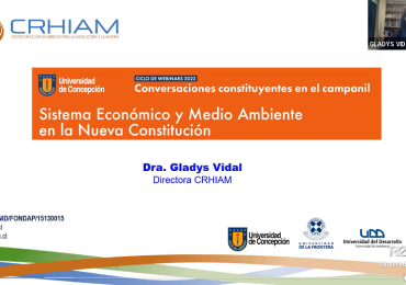 Directora CRHIAM participó como panelista en el ciclo de webinars “Conversaciones Constituyentes en el Campanil”