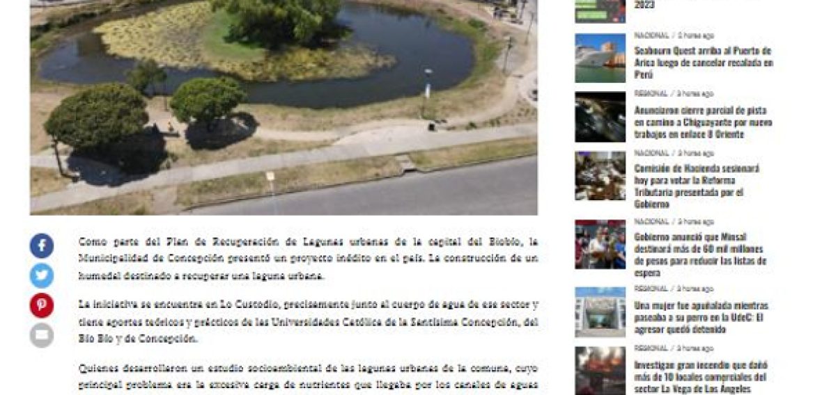 Concepción tiene el primer humedal artificial urbano de Chile para recuperar una laguna natural