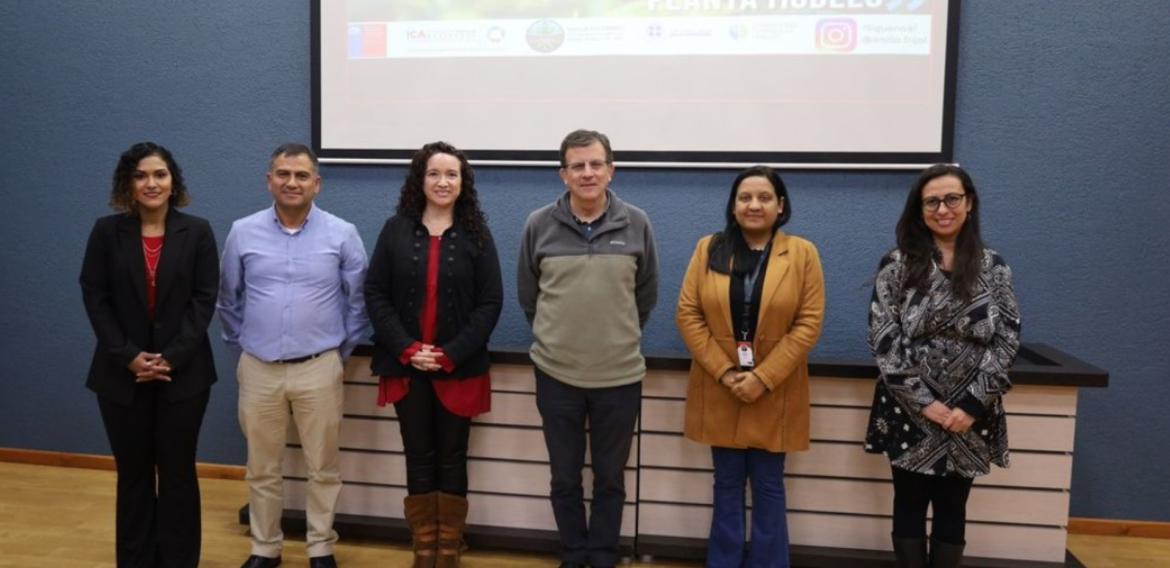 Proyecto liderado por investigadora CRHIAM busca mejorar la eficiencia hídrica del poroto en Chile