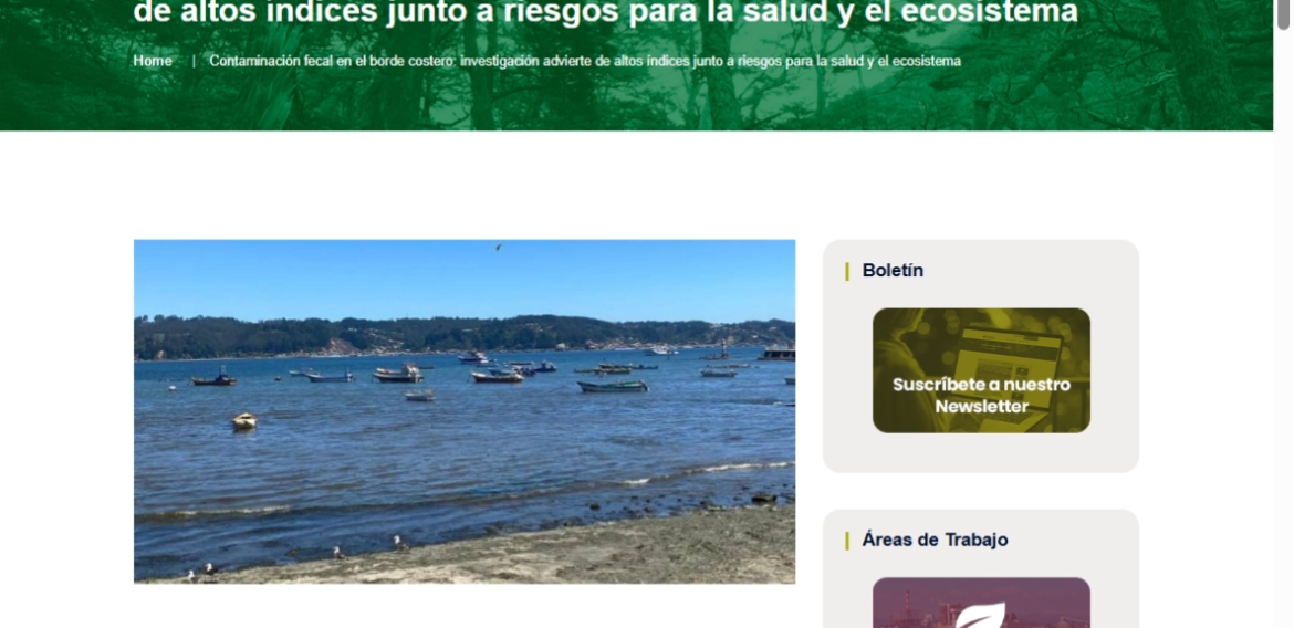 Contaminación fecal en el borde costero: investigación advierte de altos índices junto a riesgos para la salud y el ecosistema